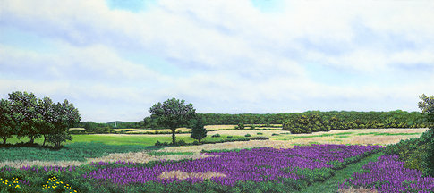“A View Towards Essex, MA” 18.5” X 41.5” Pastel on BFK Rives