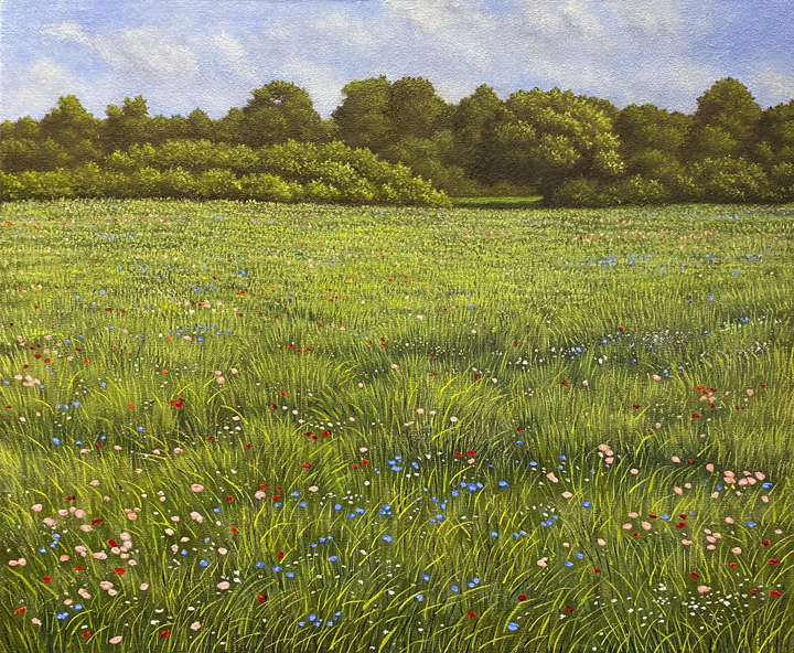 Field